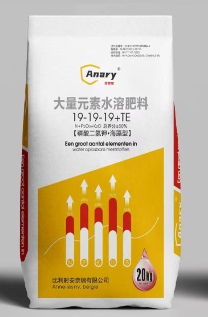 大量元素19-19-19+TE