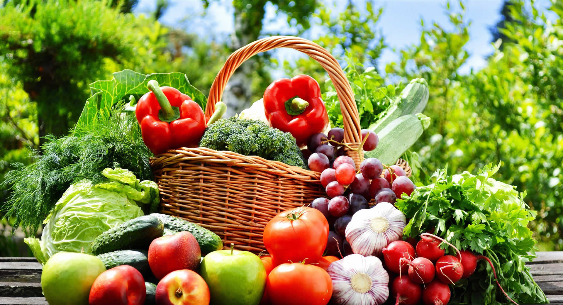 日日碰狠狠躁久久躁婷婷